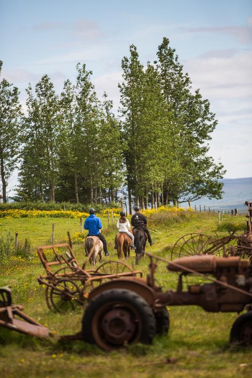 Farmhotel Efstidalur Логарватн Экстерьер фото